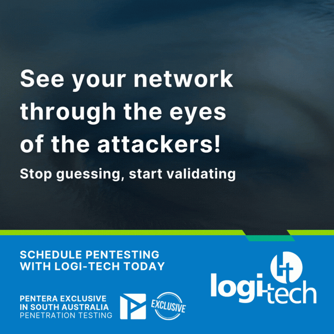 see through the eyes pentesting